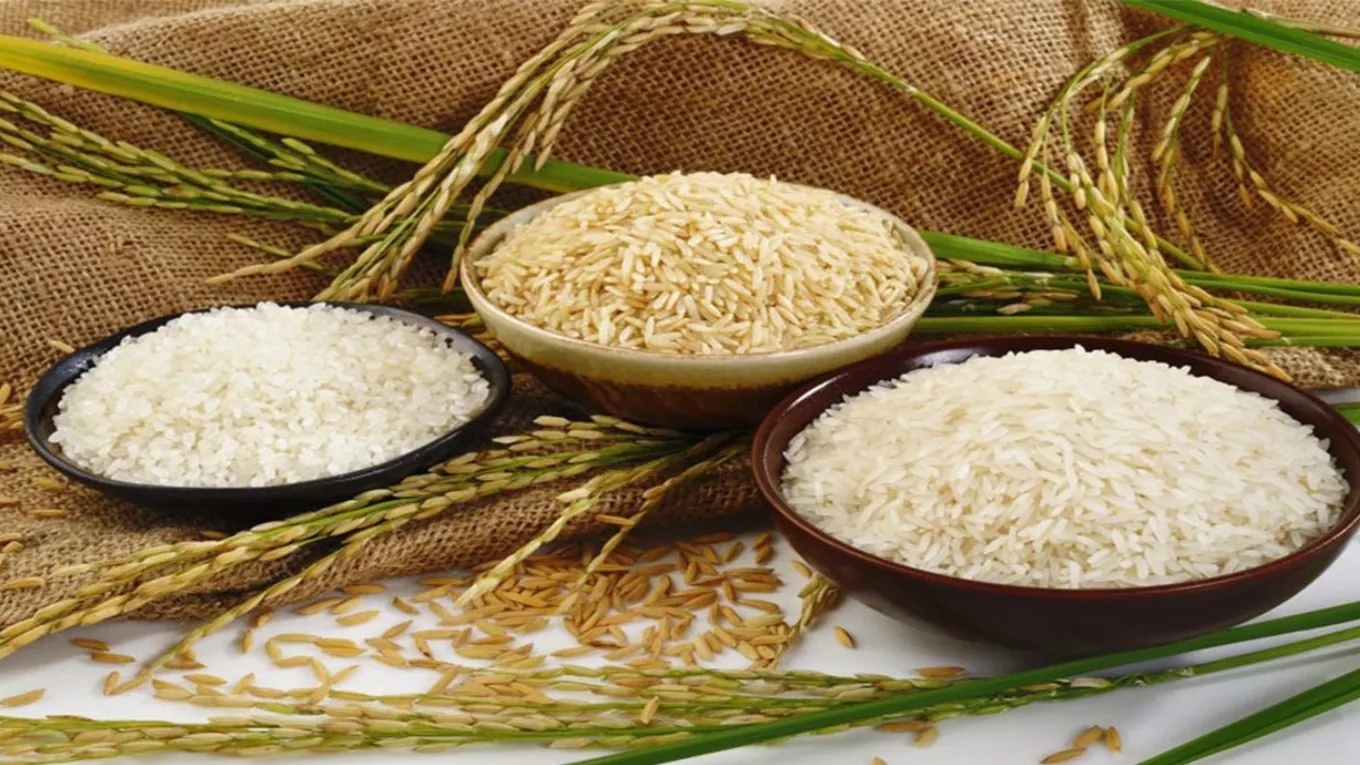 فروشگاه برنج و خواروبار مقدسی در رشت