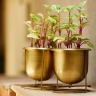 هاردباکس گل و گلدان فلزی مرادیان در تهران