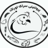 پخش عمده قطعه بندی مرغ و گوشت گرم تورتک در بندرعباس