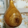 سازسازی انوشیروان در رشت