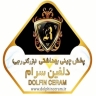 بازرگانی رجبی،چینی دلفین سرام در لاجین همدان
