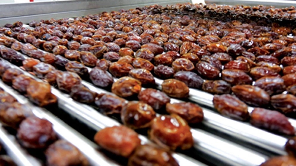 آشنایی گام به گام مراحل خط تولید و بسته بندی خرما