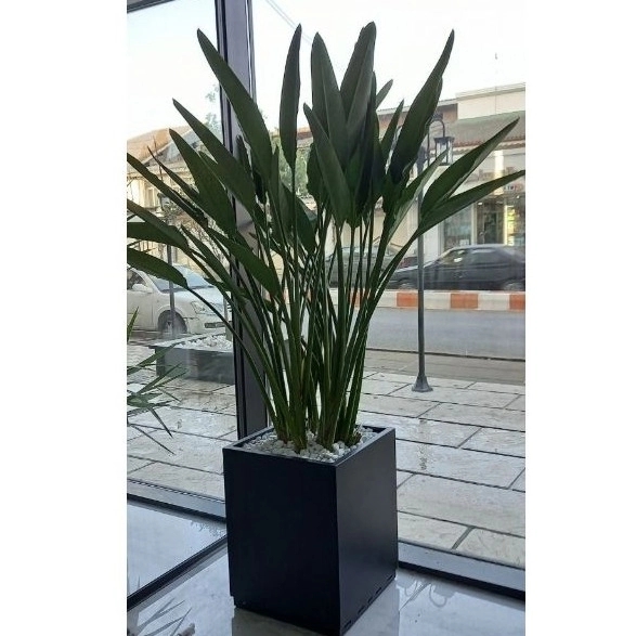 اجرای فضای سبز