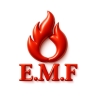 ماشین سازی ابراهیمی، سازنده ی دیگ بخار EMF ایستاده و خوابیده در پردیس تهران