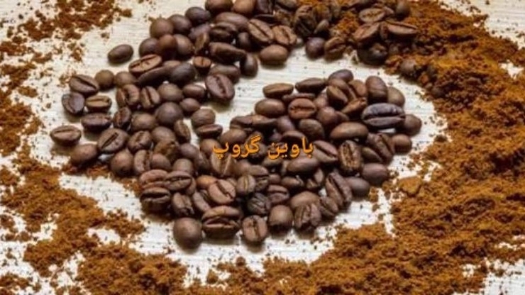 باوین گروپ
