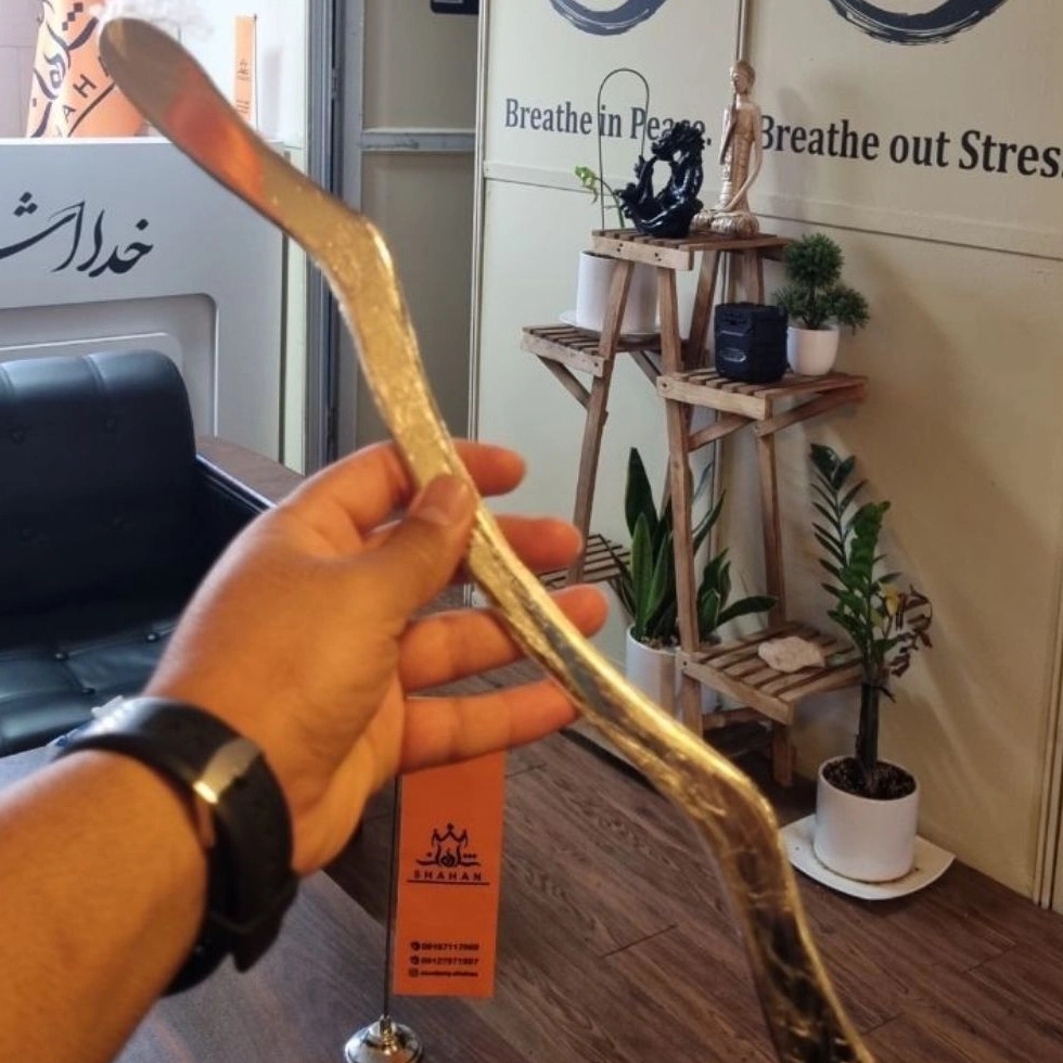 آکادمی شاهان