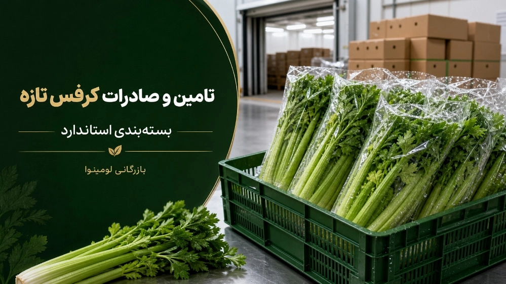 تامین و صادرات کرفس تازه بسته بندی استاندارد با کانتینر یخچالی