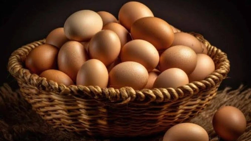 فروشگاه پدیده، فروش و پخش عمده تخم مرغ در بابل