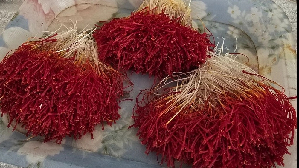 زعفران دختر پیچ