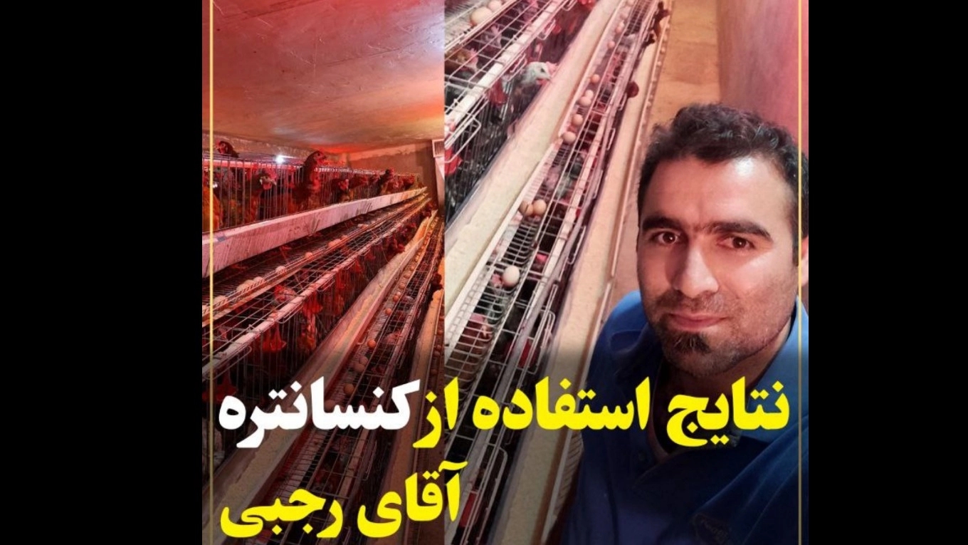 کنسانتره ۲/۵درصد ویژه مرغ بومی
