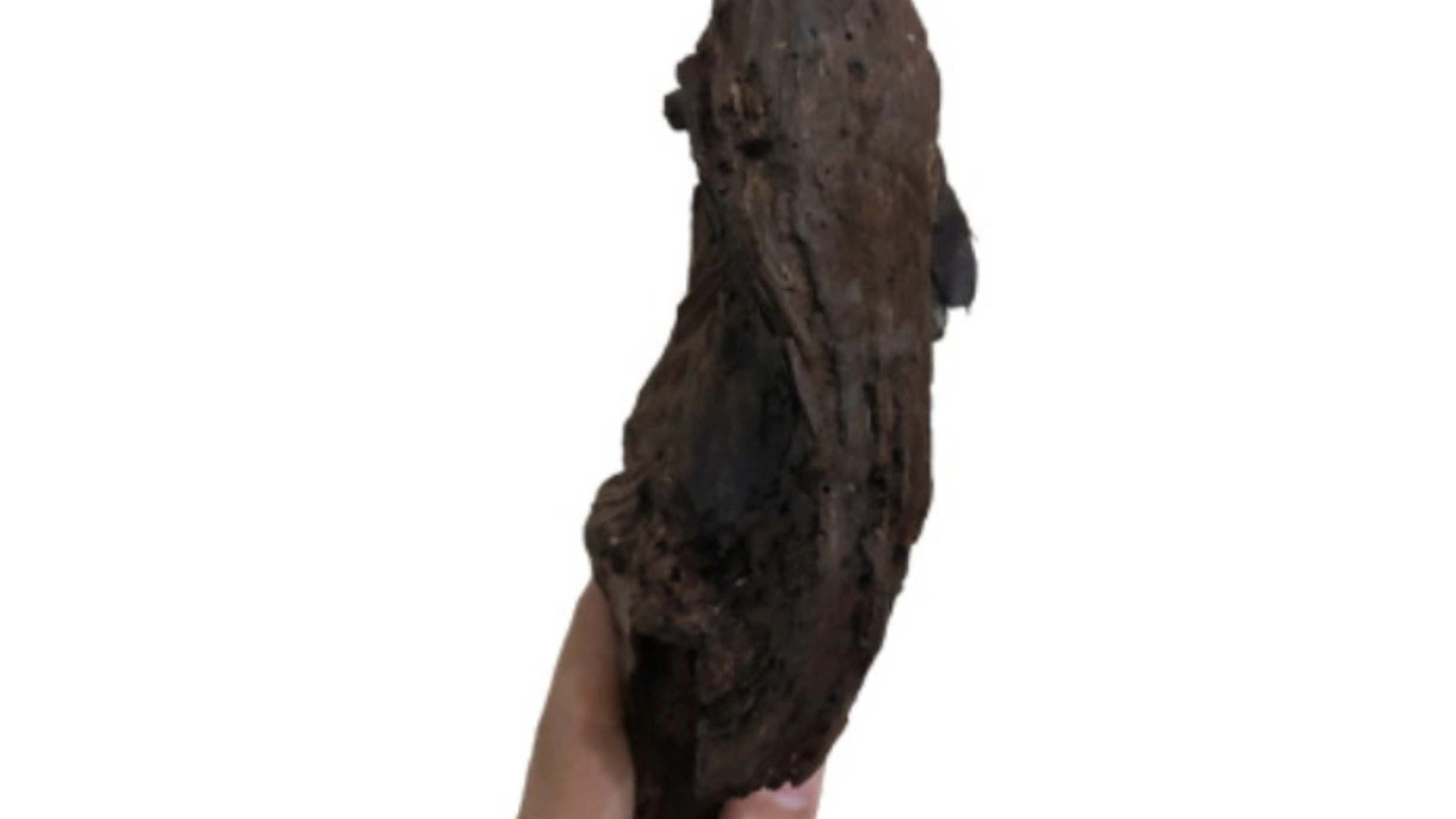 تنه درخت تزیینی مدل wood1