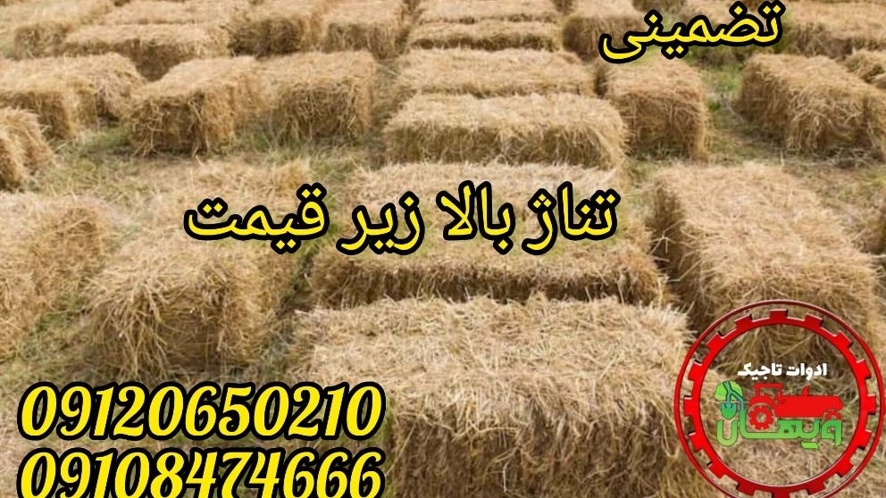 یونجه