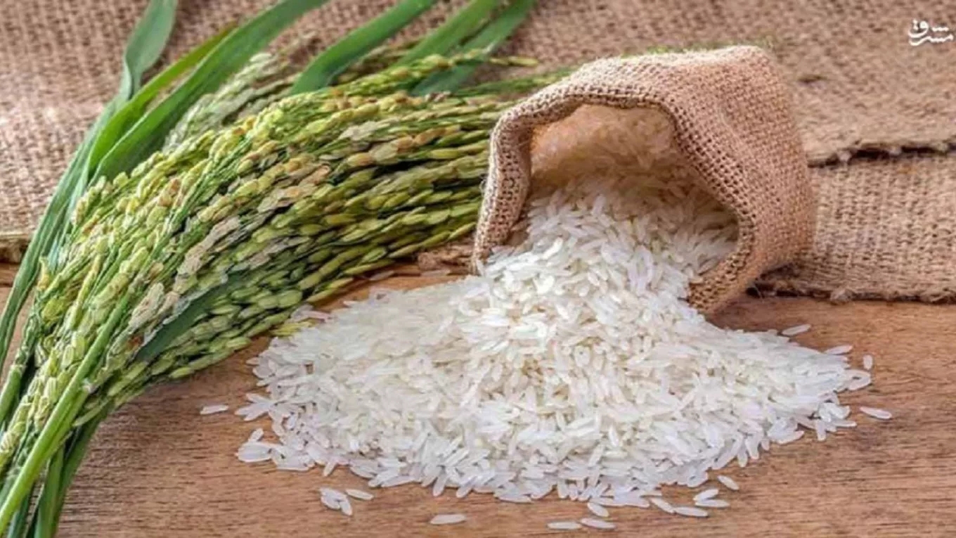 گروه تولیدی برنج احمدنیا