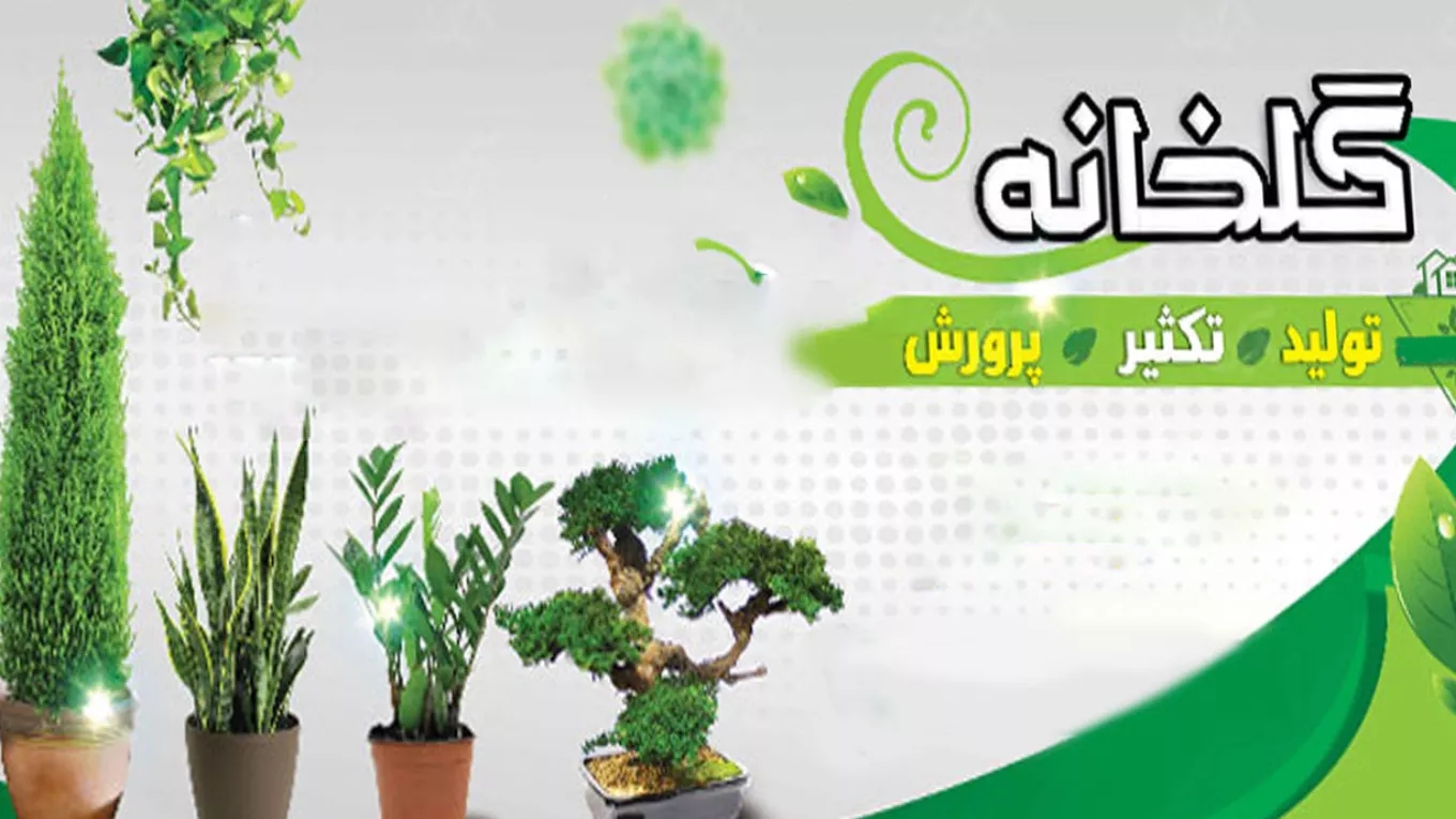 قصر گل حیدری در عباس آباد