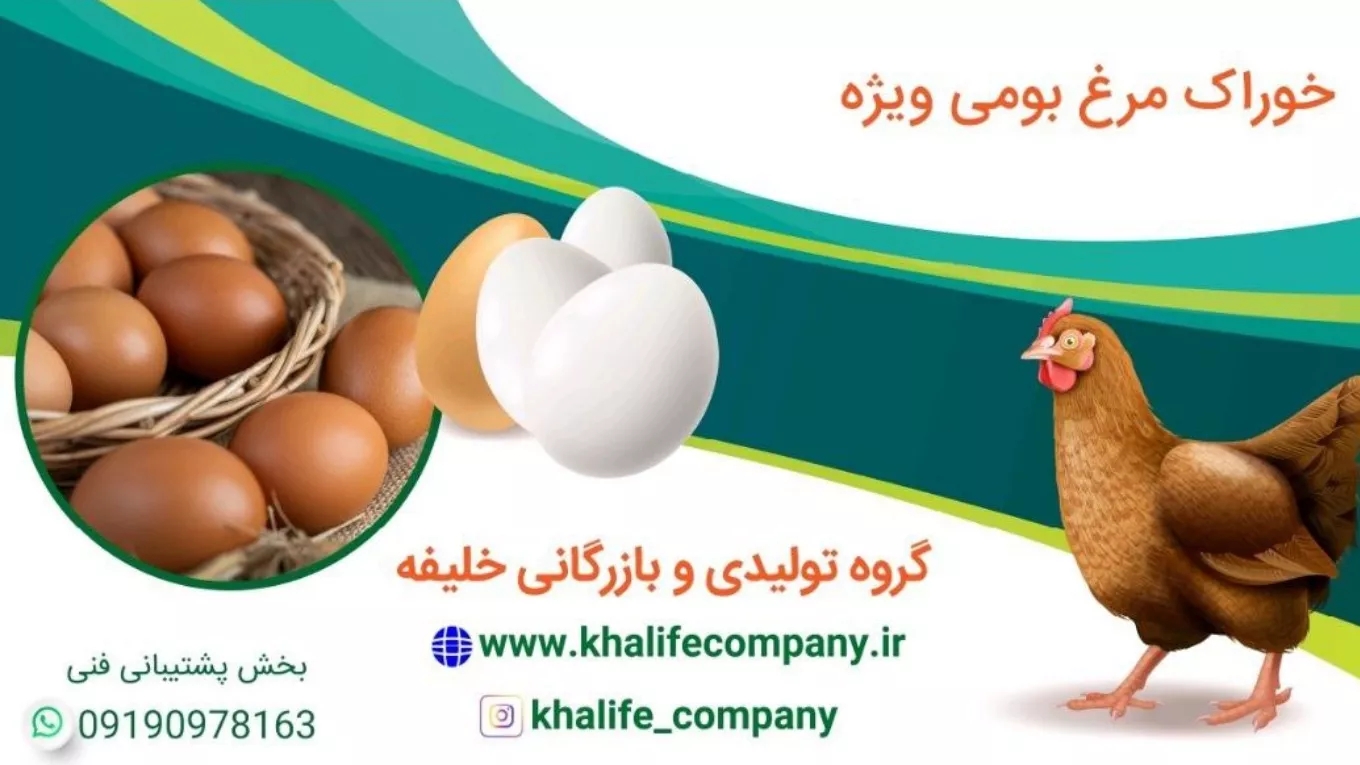 گروه تولیدی خوراک و کنسانتره طیور بازرگانی خلیفه در شیراز