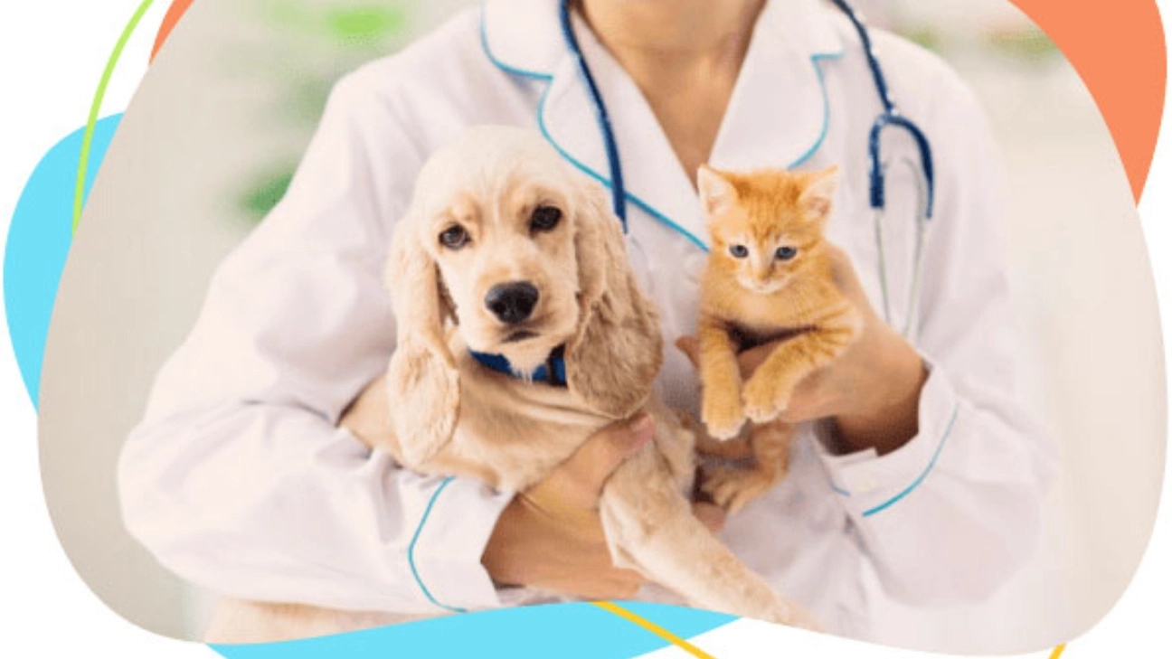 کلینیک دامپزشکی و پت شاپ دکتر دنا