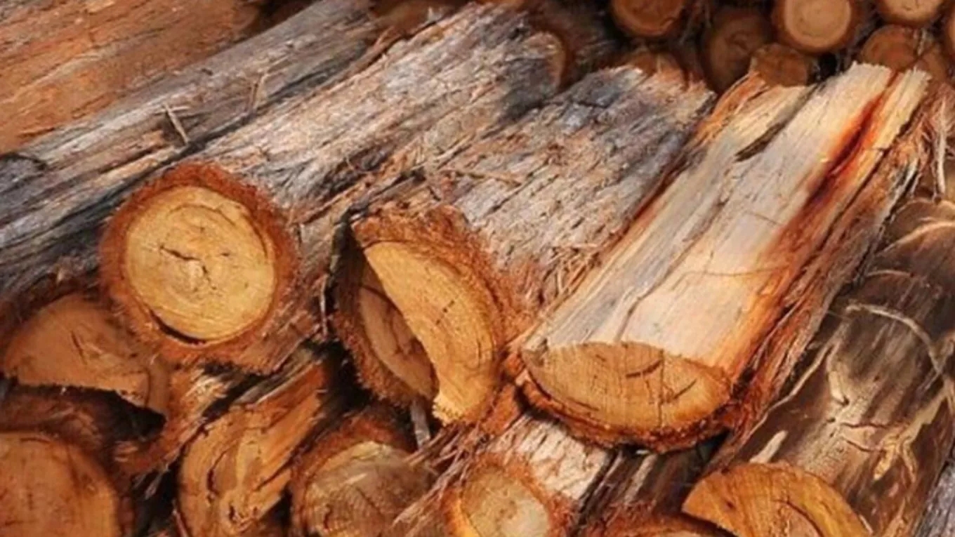 چوب مناسب برای هنر خراطی