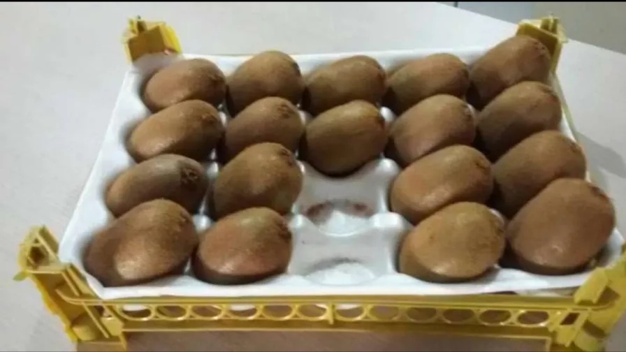 کاربرد و مزایای استفاده از شانه میوه