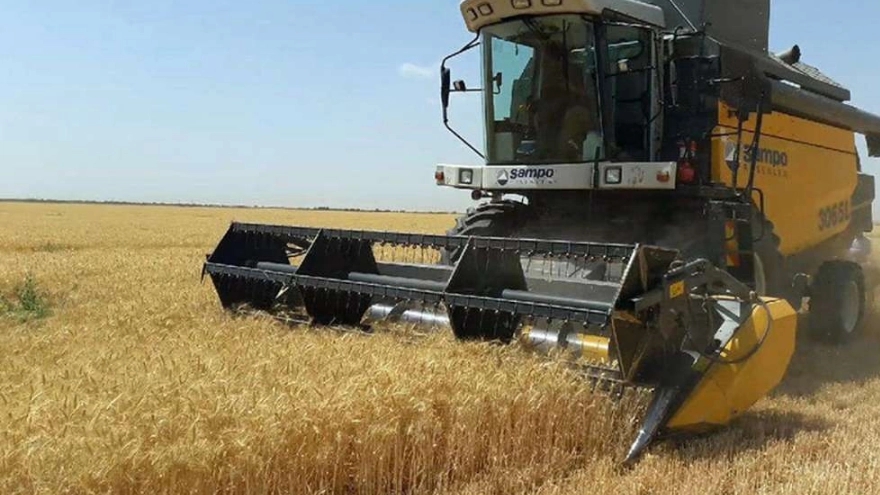 انواع کمپاین برنج
