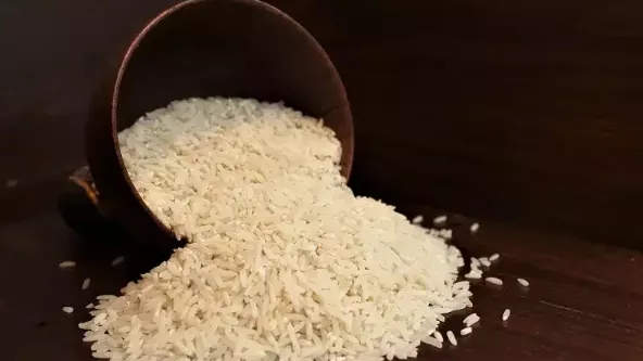 بهترین روش‌های نگهداری برنج خام ایرانی
