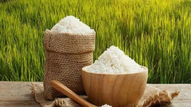 بهترین روش‌های نگهداری برنج خام ایرانی