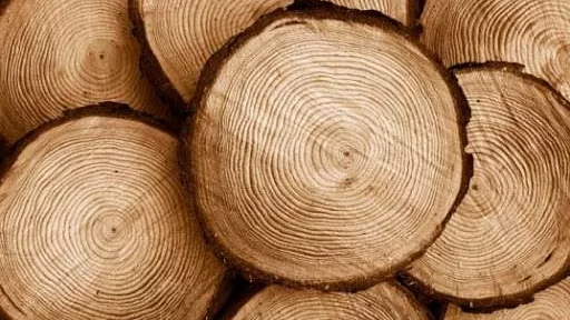 اصول کار با چوب و مقطع چوب