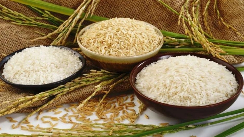 بررسی ۶ تفاوت برنج ایرانی و خارجی | کدام بهتر است؟