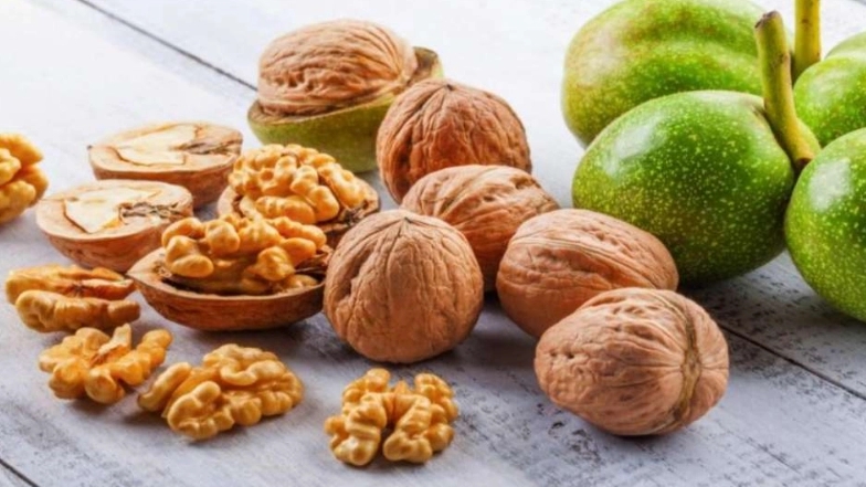 خرید و فروش نهال گردو پیوندی و گردو چندلر اقلیم پارسیان در ساری مازندران