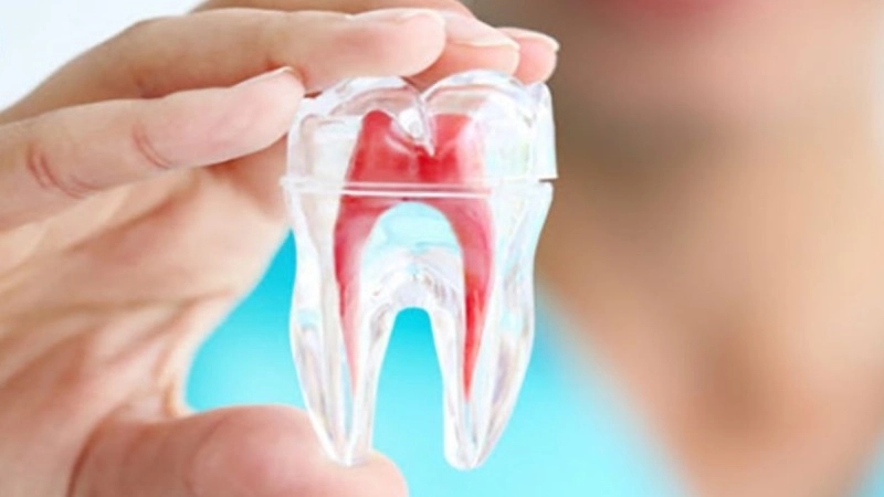 مطب دندانپزشکی دکتراکرم عطارنیا در تهران