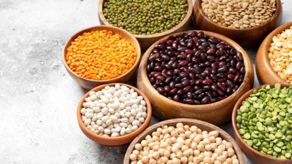 انواع بسته بندی غلات و حبوبات