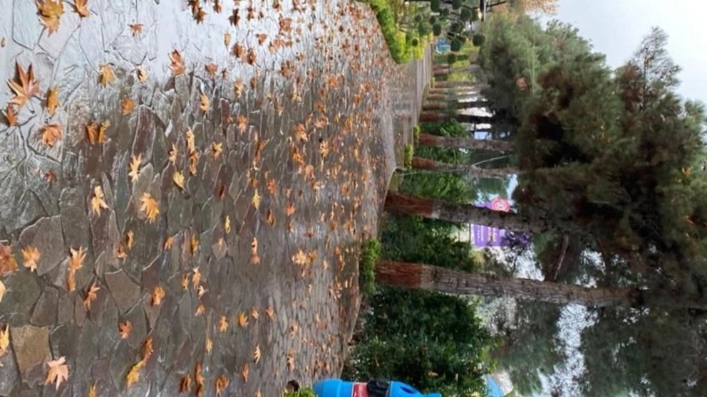 محوطه سازی سنگی پیاده رو