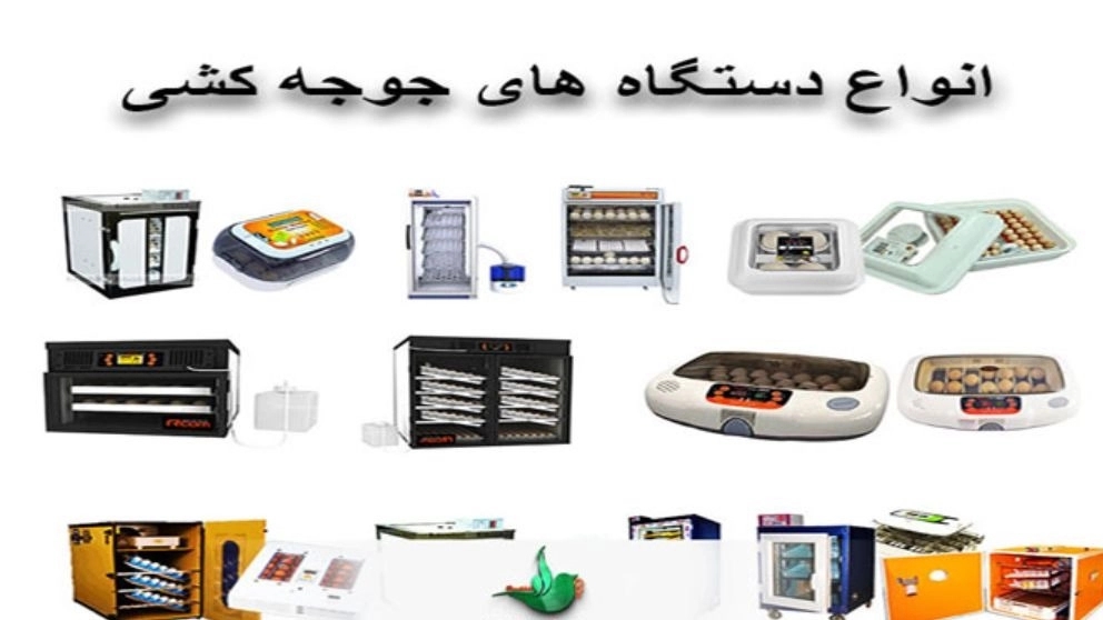 دستگاه جوجه کشی چیست و چه کاربردی دارد؟