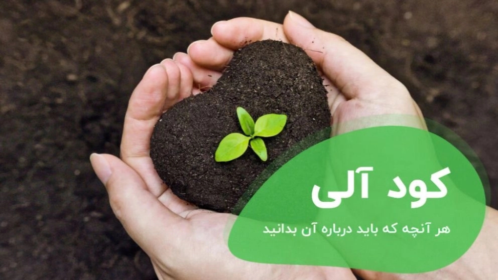 کود آلی چیست و اهمیت آن