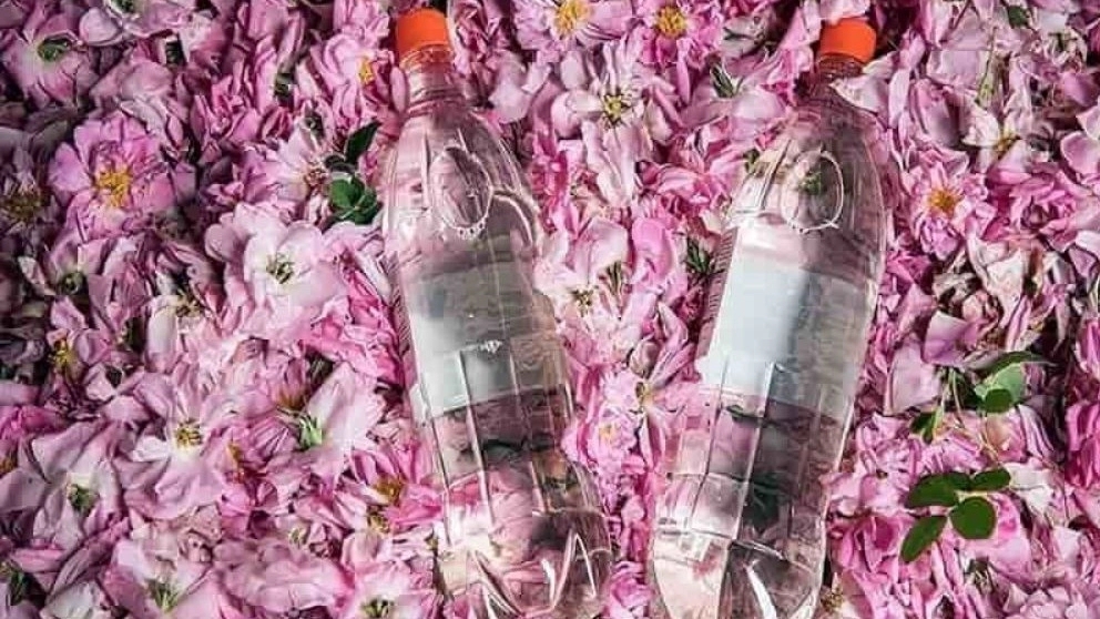 خواص گلاب و عطر دل‌انگیز آن