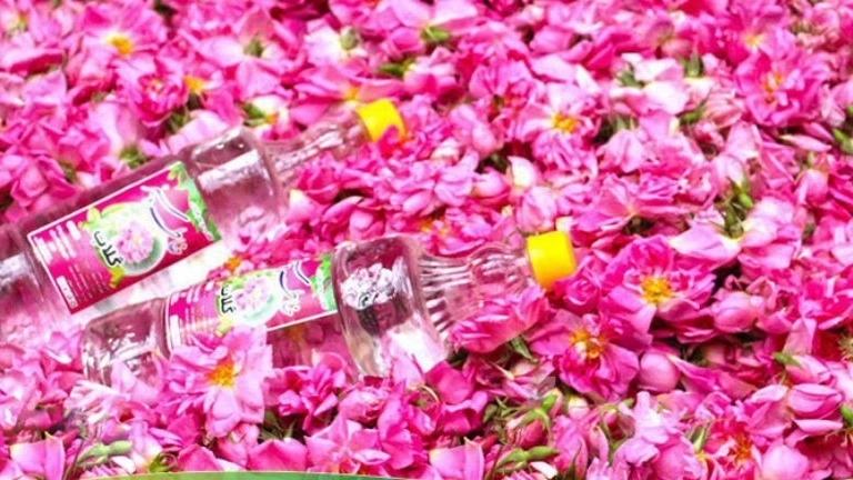 فواید گل محمدی در طب سنتی