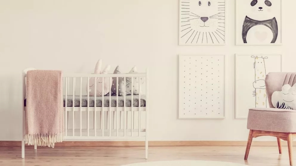 سیسمونی چیست و چه نکاتی را باید در خرید آن رعایت کنیم؟