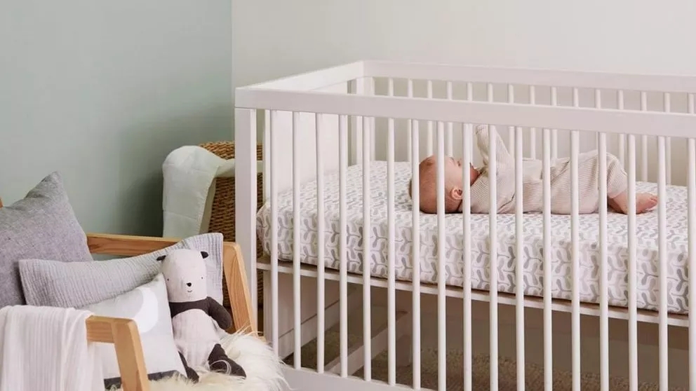 سیسمونی چیست و چه نکاتی را باید در خرید آن رعایت کنیم؟