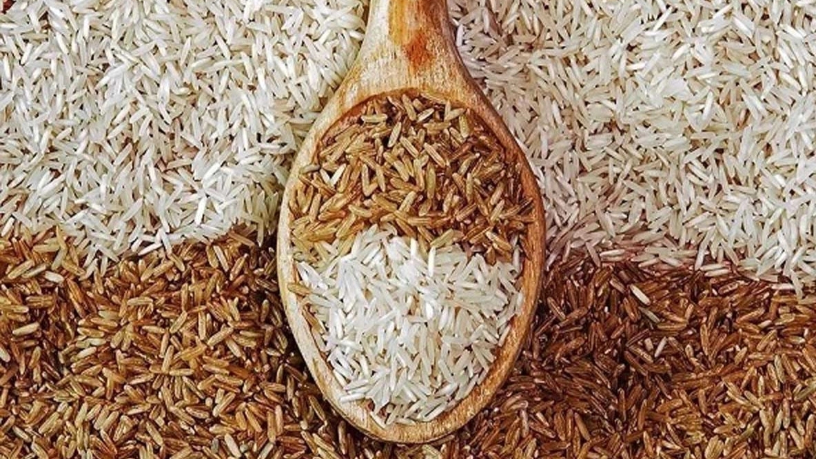 تولید و عرضه برنج های مازندران بارانی در کرمان