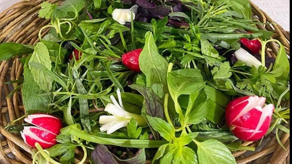 راز تازه نگه داشتن سبزی خوردن برای مدت طولانی