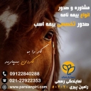نمایندگی ۵۰۲۰۲۰ بیمه پارسیان در تهران