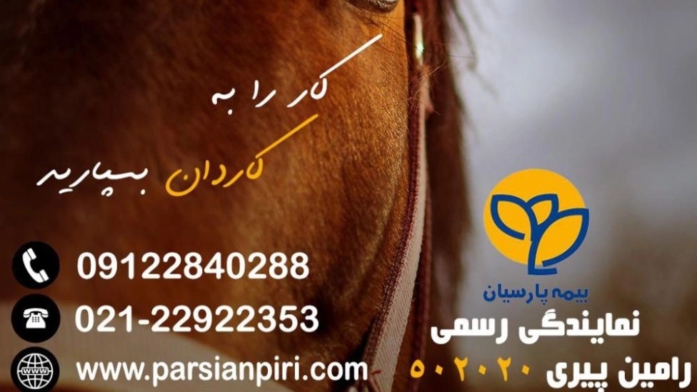 نمایندگی ۵۰۲۰۲۰ بیمه پارسیان در تهران