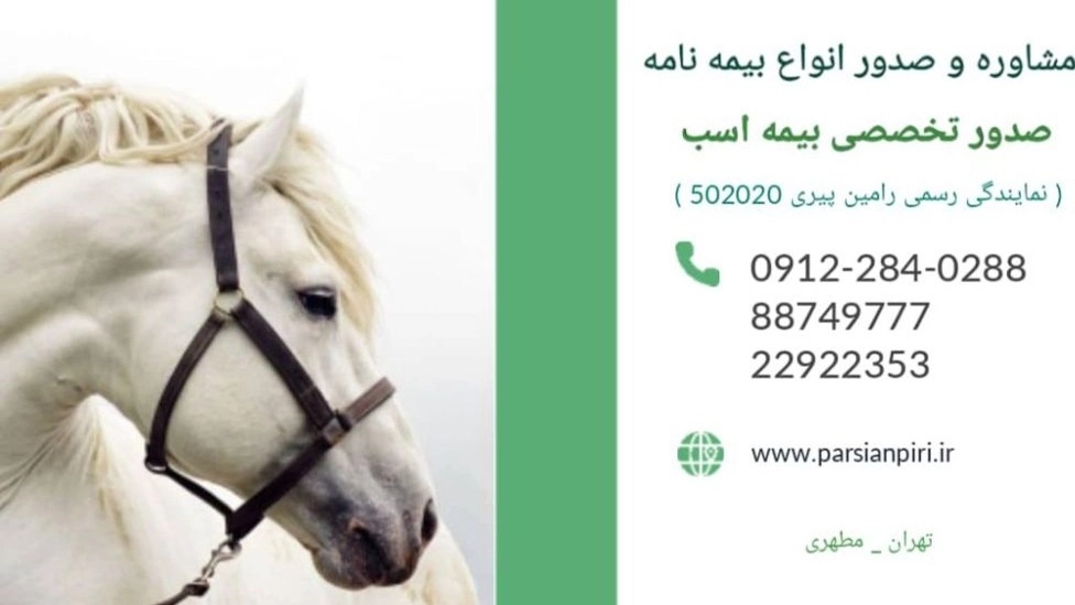بیمه اسب