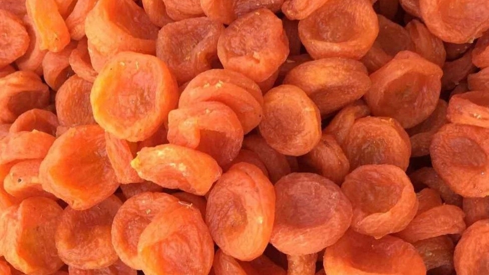 فروش عمده و صادرات آلو قیصی و میوه خشک موسوی در تهران