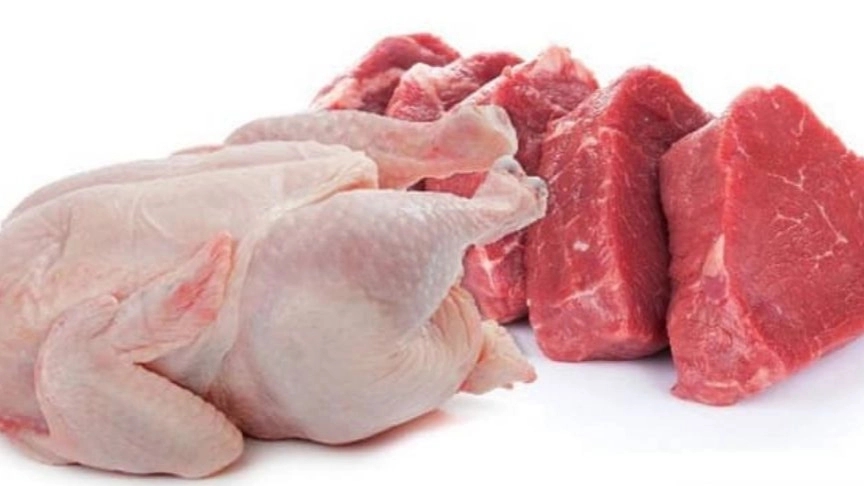 پخش عمده قطعه بندی مرغ و گوشت گرم تورتک در بندرعباس