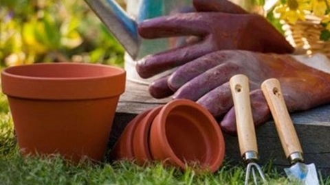 اصول اساسی باغداری