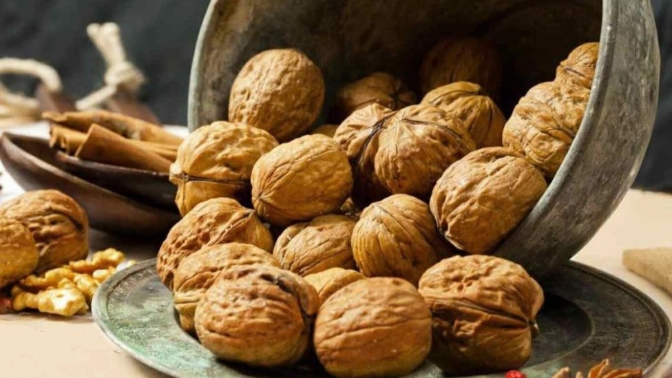 نهال گردو پیوندی چه تفاوتی با نهال گردو بذری دارد؟