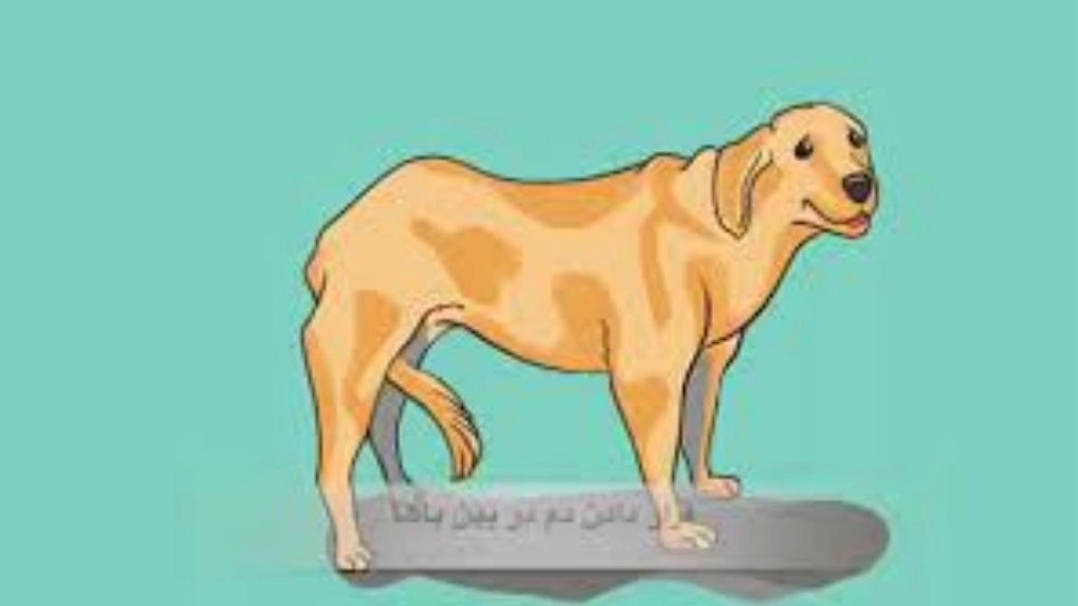 مرکز آموزشی سگ های کار هیرو k9 در تهران