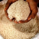 روغن خوراکی و برنج ایرانیان در گیلان