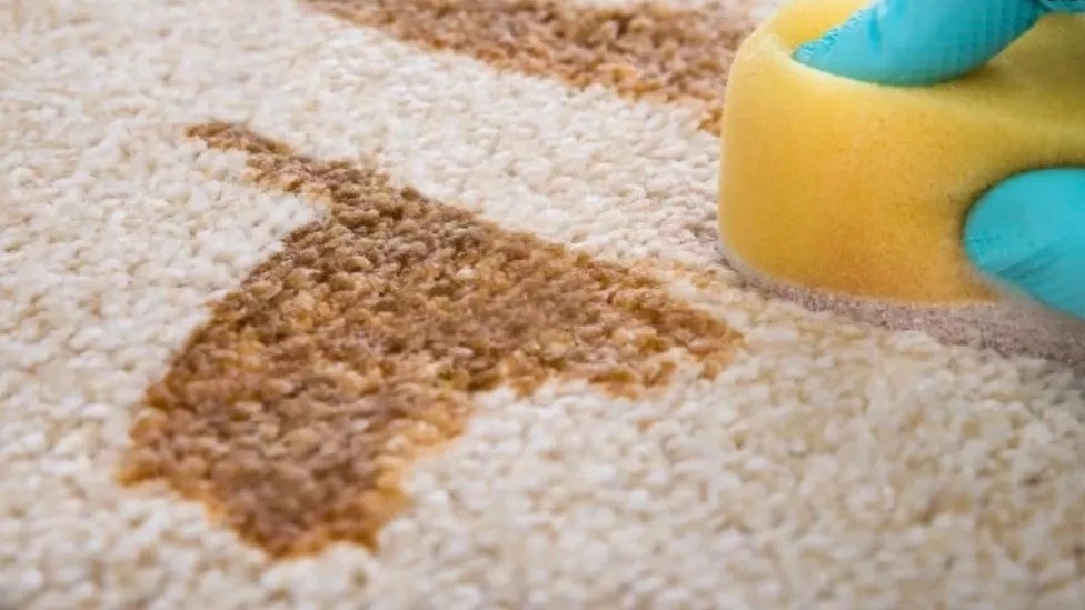 یک قالیشویی حرفه ای چه ویژگی هایی باید داشته باشد؟