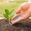 شرکت یاشیل برسام، تهیه و توزیع کود و سم کشاورزی در بناب تبریز